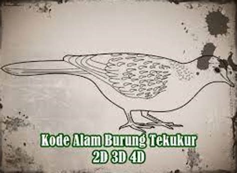 Erek erek kode alam burung perkutut  Apa itu Erek Erek Perkutut? Perkutut adalah burung yang memiliki suara indah dan sering dijadikan simbol keberuntungan dalam budaya Jawa